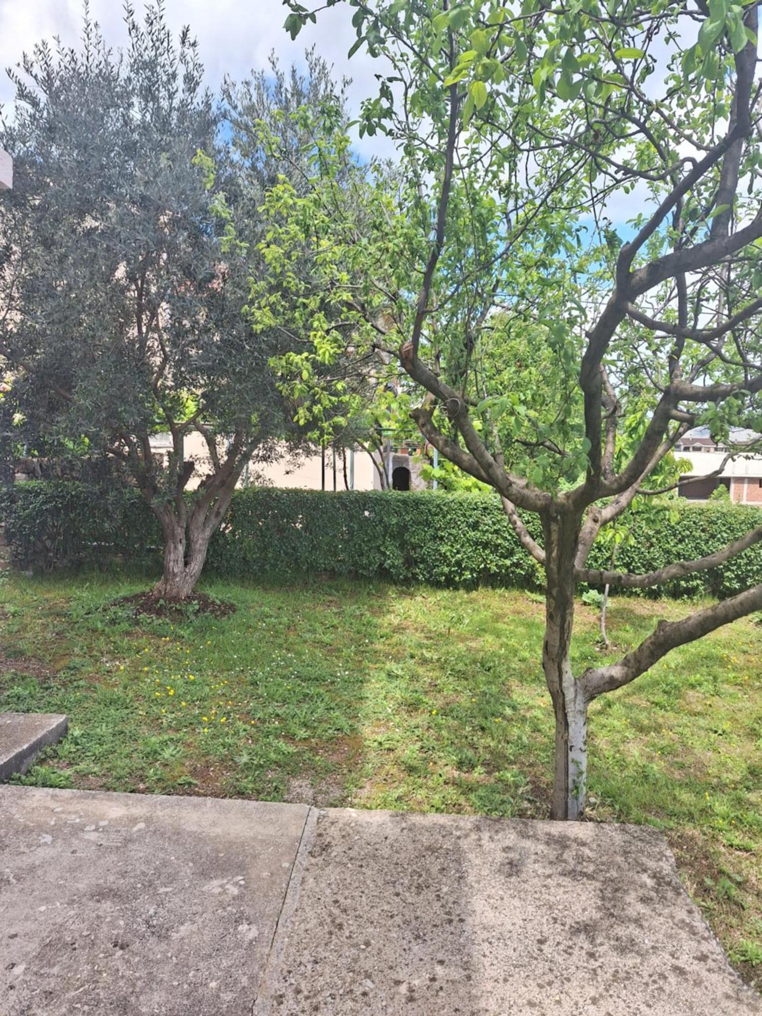 Apartmani Ruza Podgorica Zewnętrze zdjęcie